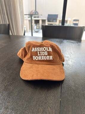 Linda Finegold As Holes Live Forever Brown Corduroy Snapback Hat